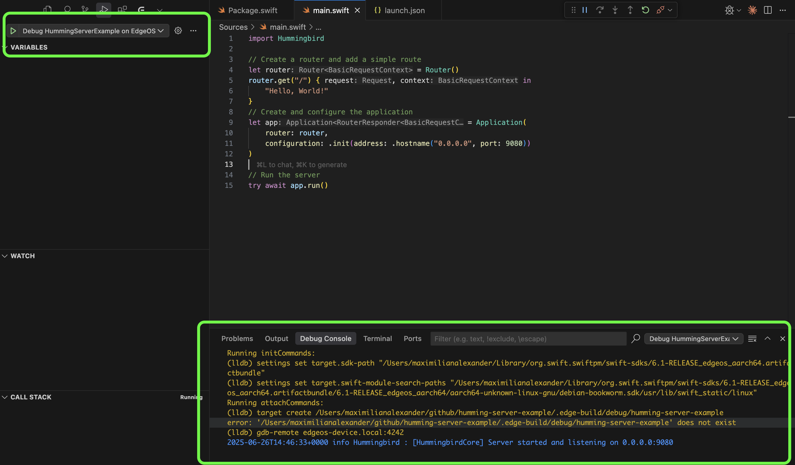 Debug Run